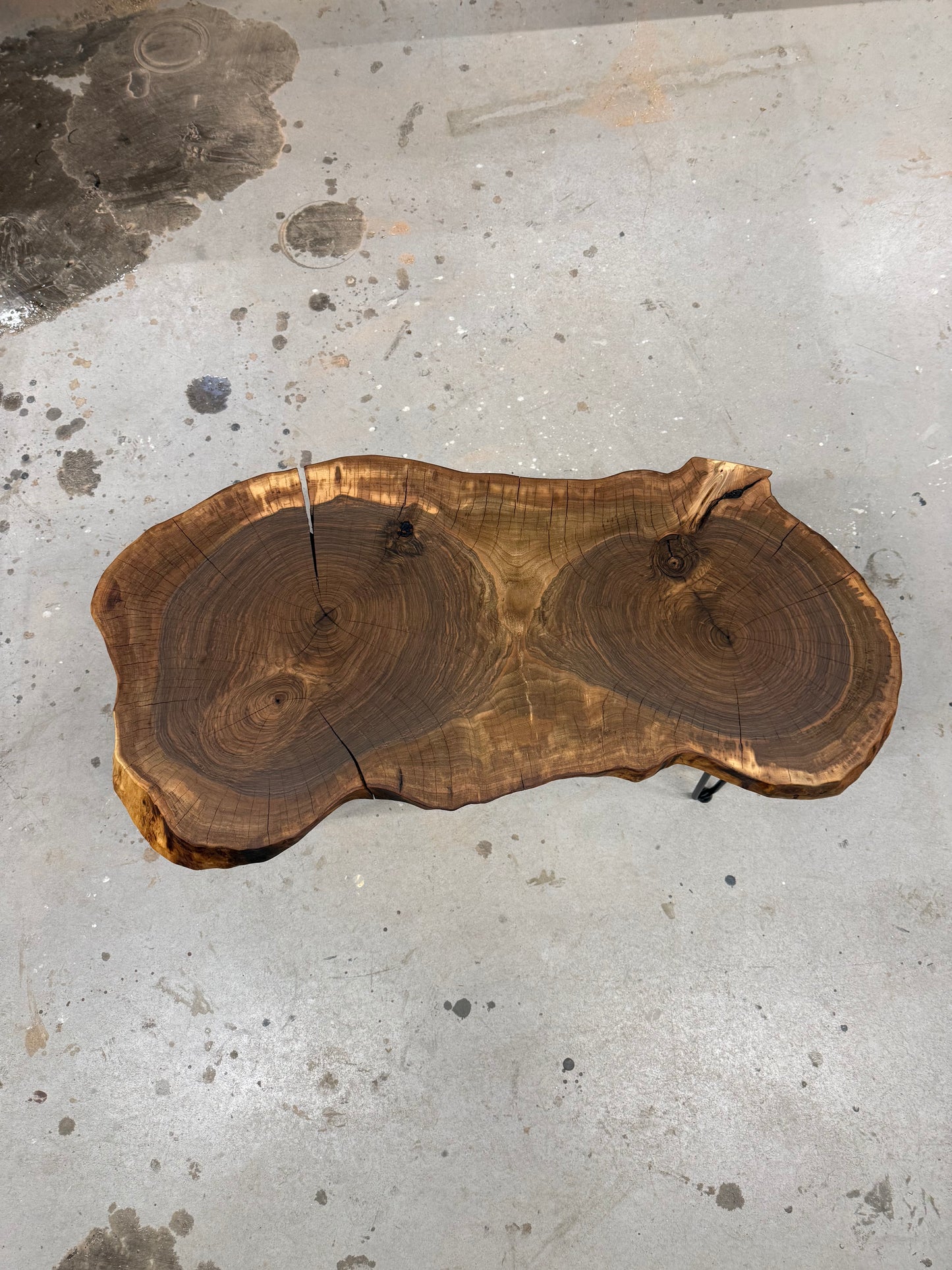 Baumscheibentisch aus einer Walnussscheibe, SOFORT VERFÜGBAR !