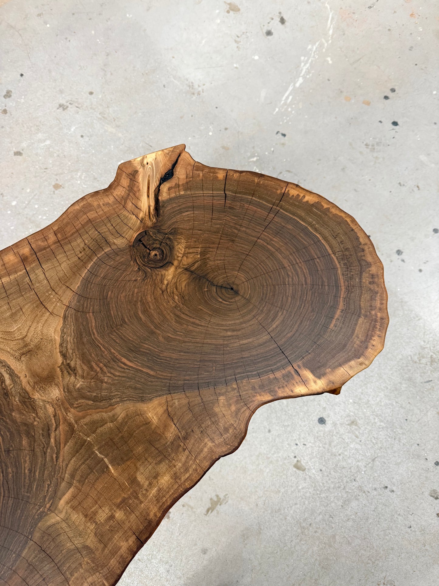 Baumscheibentisch aus einer Walnussscheibe, SOFORT VERFÜGBAR !