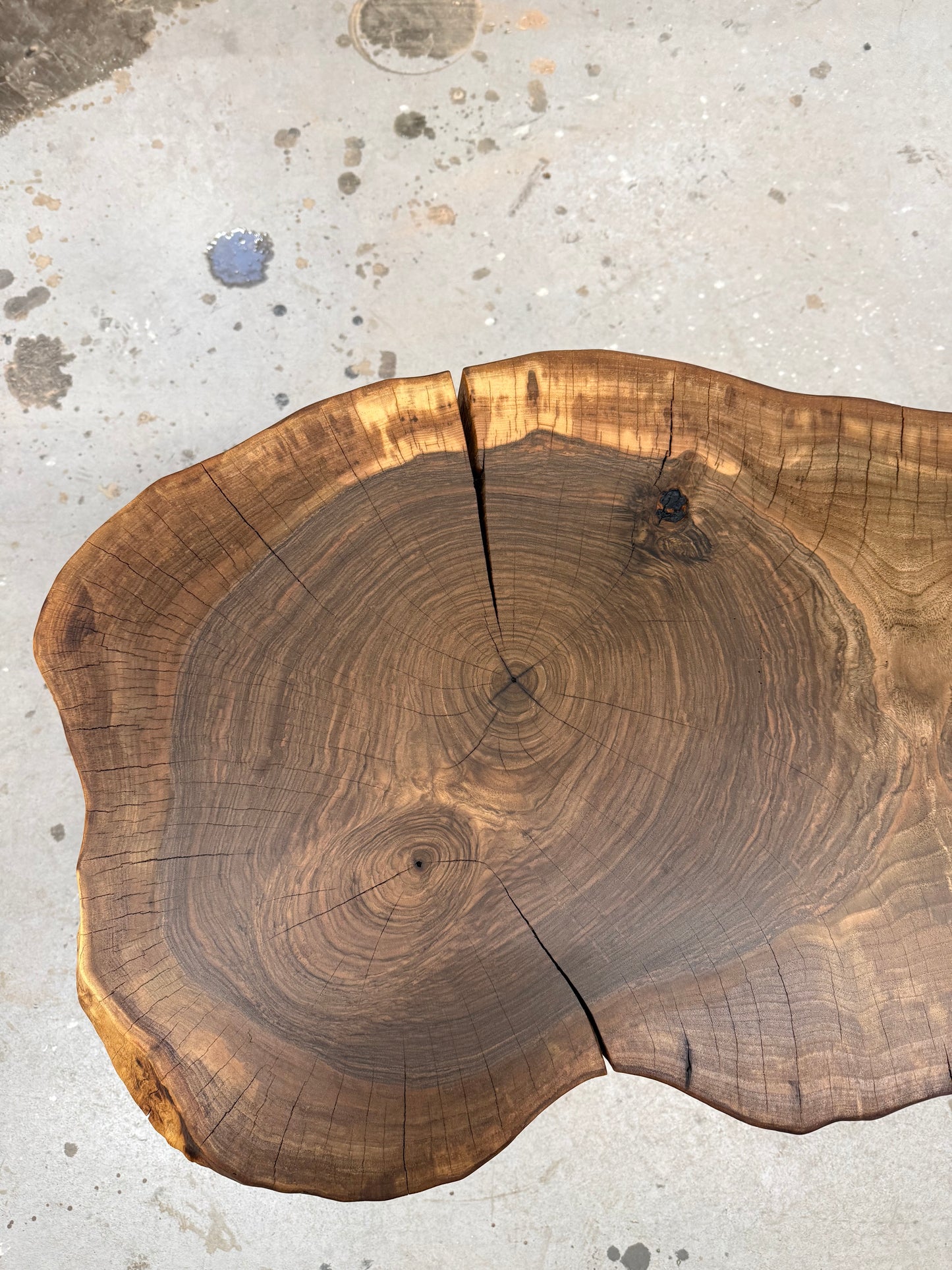 Baumscheibentisch aus einer Walnussscheibe, SOFORT VERFÜGBAR !