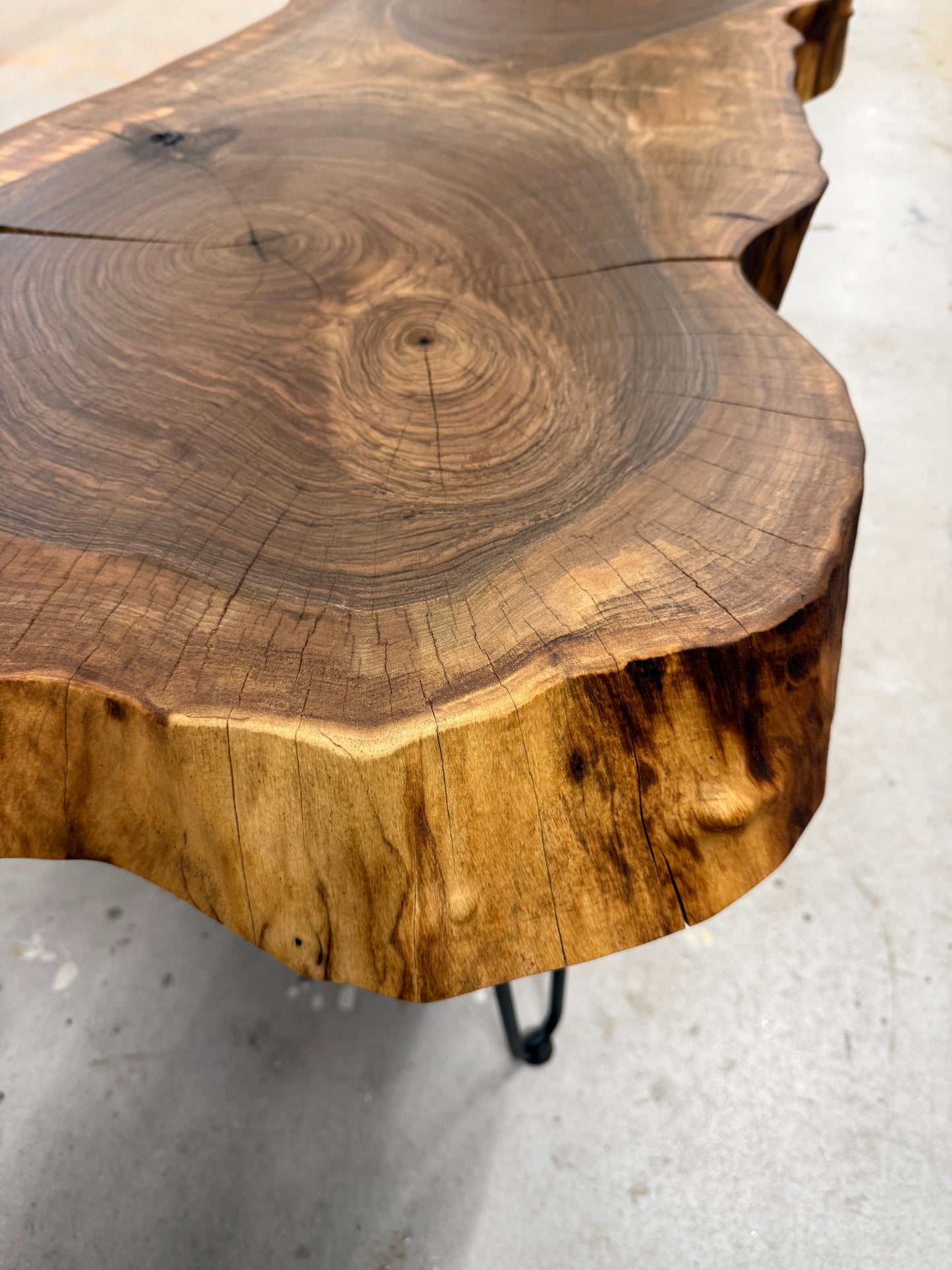 Baumscheibentisch aus einer Walnussscheibe, SOFORT VERFÜGBAR !