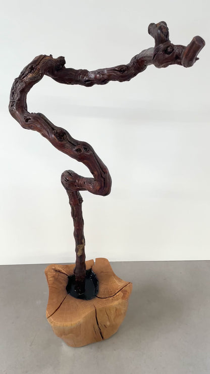 Wohnaccesoire aus Holz - Holzunikat Eiche massiv kombiniert mit einzigartiger Weinrebe - Massivholzdekoration - Massivholzmöbel